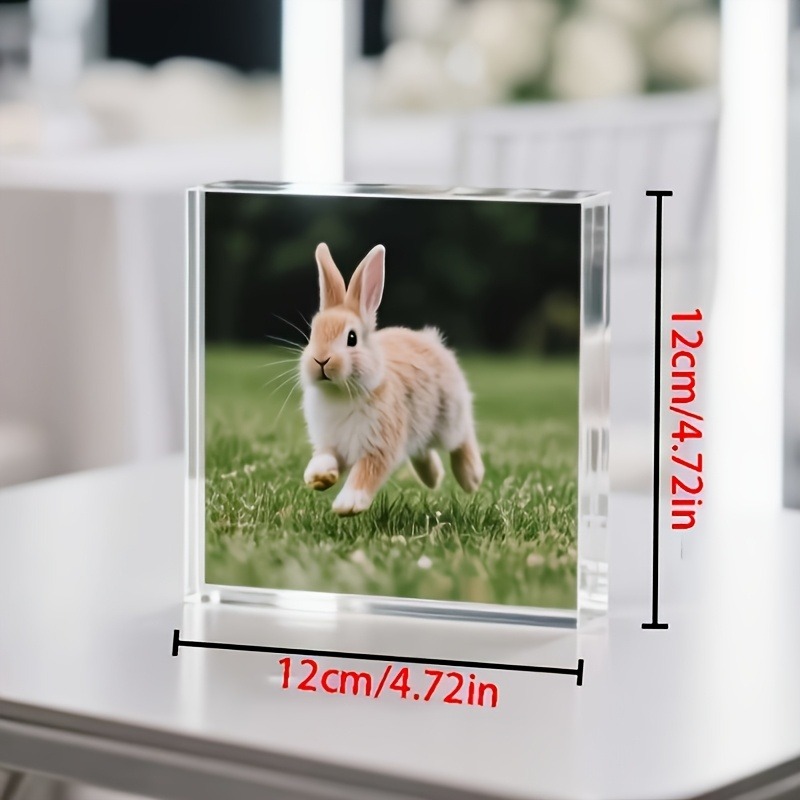 1PC Custom Photo   Acrylic Per - Photo Acrylic Block review and price